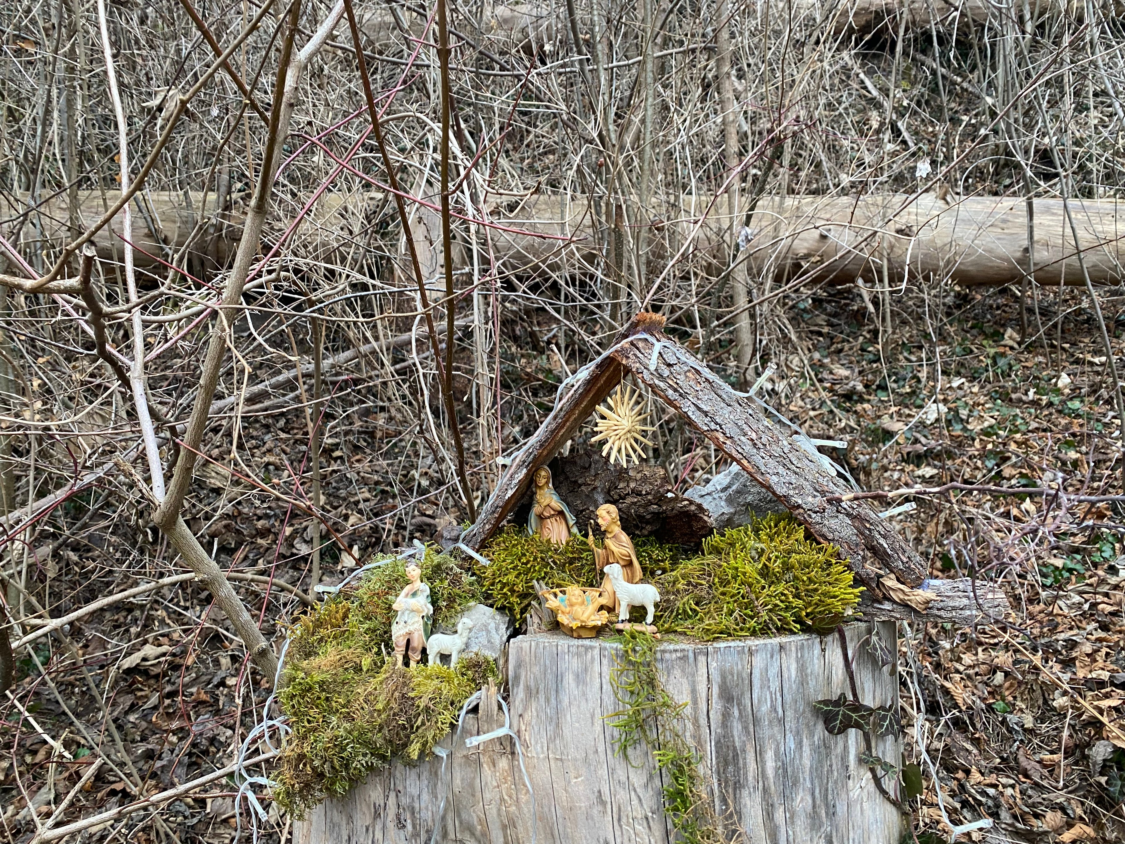 Beispiel Baum März